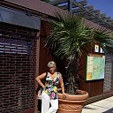 ���� ������, �����-���������, 64 ���� - ��������� 31 ������� 2013