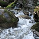 ���� ����, ������� - ��������� 14 ������ 2014 � ������ ���� ����������