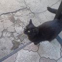  , --, 24  -  27  2013