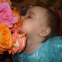 ���� ������, ���������, 41 ��� - ��������� 8 �������� 2013 � ������ ���� ����������