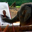 ���� ������, ���������, 59 ��� - ��������� 27 ������� 2013 � ������ ������ ��������