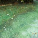 ������� ��������� �������� �� �. ������ �� ������� ��. ������