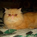  ***@@***,  -  1  2013    