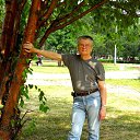 ���� ����, ������������, 79 ��� - ��������� 3 �������� 2013 � ������ ���� ����������