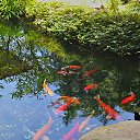 ���� Dreamcatcher, ����� - ��������� 5 ������ 2013 � ������ ����))�