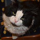 ���� ������, �����, 56 ��� - ��������� 12 ������� 2013 � ������ ���� ����������