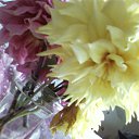 ���� ������, ������ - ��������� 31 ������� 2013 � ������ ���� ����������