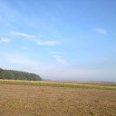 ���� Tarik, ���� - ��������� 11 ����� 2014 � ������ ���� ����������