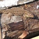 ���� ����, �������� - ��������� 28 ������� 2013 � ������ ���� ����������