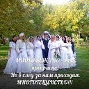 ���� ��������, ������, 36 ��� - ��������� 16 ������ 2014 � ������ ���� ����������