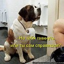 ���� *E*l*e*n*@*, ������� - ��������� 12 ������� 2014 � ������ ������ ��������