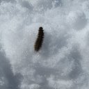 ������ 2013. � ���� ���� � �������� ����... �� ������� ���� ����������