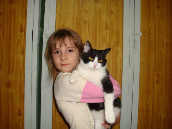 Фотография «Спасибо за подарки!» - Подарили кошку)) - yuliya, 23 года, Полтава Фото подарка на Новый год: Подарили кошку)) - yuliya Grigolevich, 23 года, Полтава
