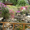 ���� ����, ��������, 62 ���� - ��������� 2 ����� 2014 � ������ ������ � ������� 2014.�