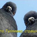 ���� ���, ������, 39 ��� - ��������� 6 ����� 2014 � ������ ������ ��������