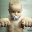 ���� ����, �������, 41 ��� - ��������� 24 �������� 2013