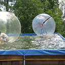 ���� �����, ���������, 64 ���� - ��������� 1 �������� 2013 � ������ ����������