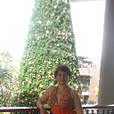  .., , 58  -  12  2013    