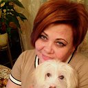 ���� �������, ������ - ��������� 11 ����� 2014 � ������ ���� ����������