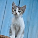 ���� �������, ���������, 52 ���� - ��������� 15 ������� 2013 � ������ ���� ����������