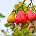  Itopa (Big John), , 50  -  18  2014    