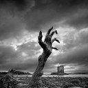 ���� �����, ������� ������, 40 ��� - ��������� 17 ������ 2014 � ������ ���� ����������