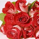 ���� �����, ������ - ��������� 6 ������� 2013 � ������ ���� ����������