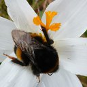 ������ � �����