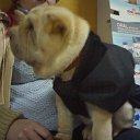 ���� �������, ������, 45 ��� - ��������� 17 ������� 2013 � ������ ���� ����������