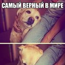 ���� �����, �����, 57 ��� - ��������� 29 �������� 2013 � ������ ���� ����������