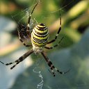 ���� �����, ������-��-����, 60 ��� - ��������� 10 ����� 2014 � ������ ���� ����������