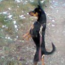 ���� ����������, ���������, 44 ���� - ��������� 7 ������� 2013 � ������ ������