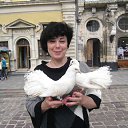 ���� �����, �����, 54 ���� - ��������� 15 ������� 2013 � ������ ���� ����������