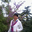 ���� ������, �������, 54 ���� - ��������� 17 ������� 2013