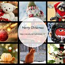 ���� ����, ������, 56 ��� - ��������� 7 ������� 2013 � ������ ������ ��������