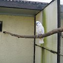 ���� ������, ������, 64 ���� - ��������� 21 �������� 2013 � ������ �� ����� ���� "�������" 18.09.2013�