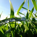 ���� Natal��, ������ ��� - ��������� 15 ������� 2014 � ������ ������ ��������