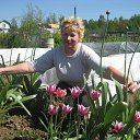 ���� ����, ������ �������� - ��������� 20 ������� 2013