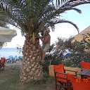 ���� ������, �������, 64 ���� - ��������� 5 ������� 2013