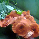 ���� �������(����������), ������� - ��������� 2 ����� 2014 � ������ ���� ����������