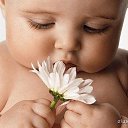 ...�������-�� � �� �������: �� ����� - 
�������, �� ����� - ��������, �� ����� - 
������...) �� ������� �....�