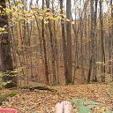 ���� ����� ;), ��������� - ��������� 21 ������� 2013 � ������ �������� ����������