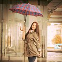 ���� �����, ������, 31 ��� - ��������� 17 ������� 2014 � ������ ���� ����������