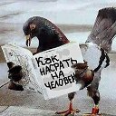 ���� ��������, ����������, 53 ���� - ��������� 15 ������� 2013 � ������ ����������