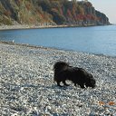 ���� �������, ������, 55 ��� - ��������� 8 ������ 2013 � ������ �������