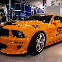 ���� �����, ������ - ��������� 11 ����� 2014 � ������ ������ ��������