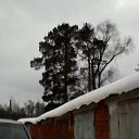 ���� ������, ������, 69 ��� - ��������� 4 ������ 2014 � ������ ���� ����������