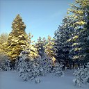 ������ � ����� ���� ���! �� ������� ���� ����������