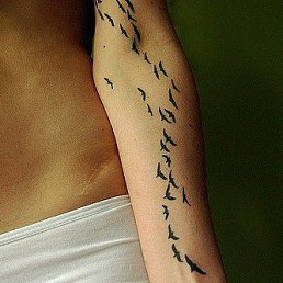 Aleks, �����������, 34 ����