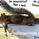��� ������� ��������� �� ������� ���������� � ������.�